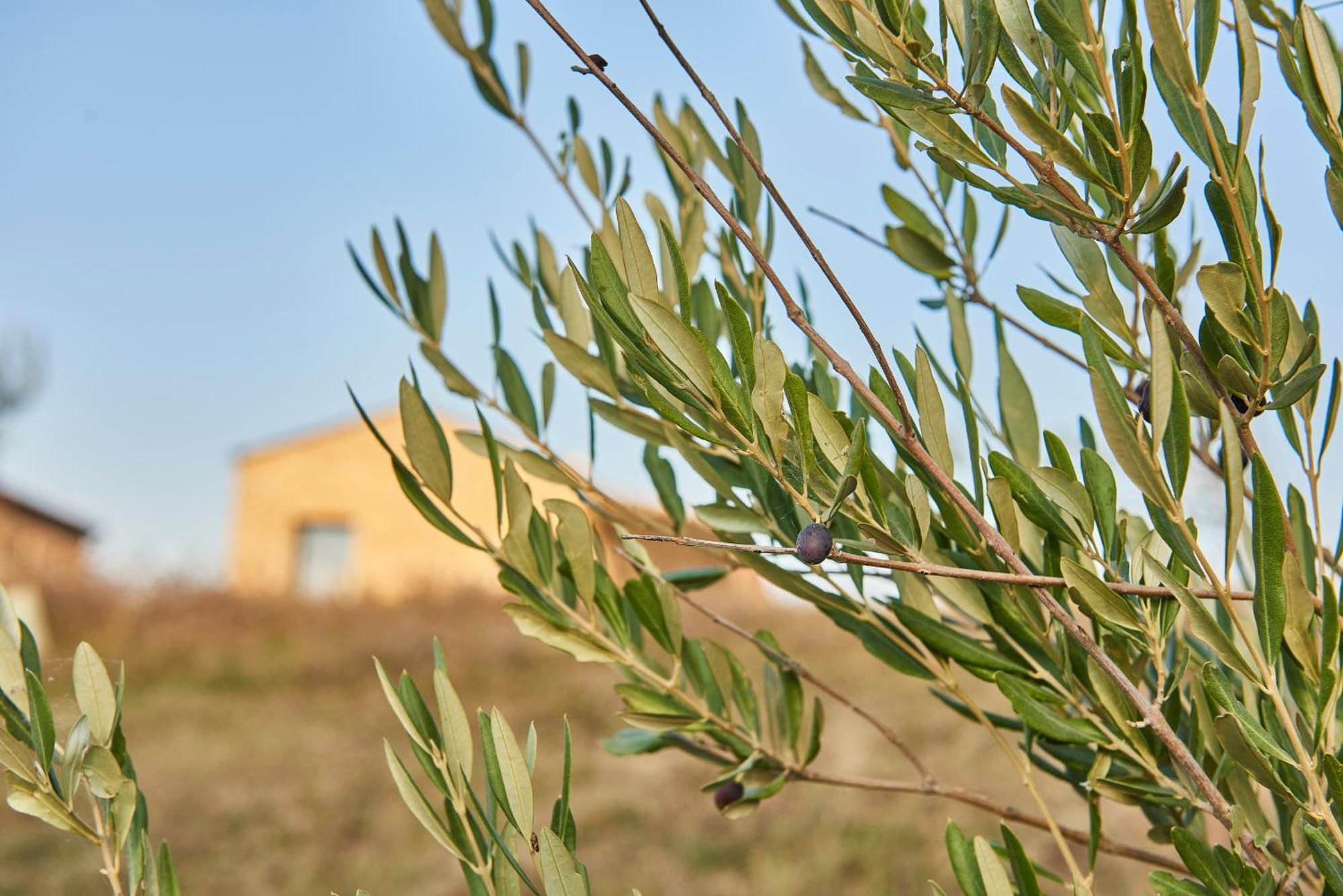 Agriturismo Prato Del Re Prignano sulla Secchia Εξωτερικό φωτογραφία
