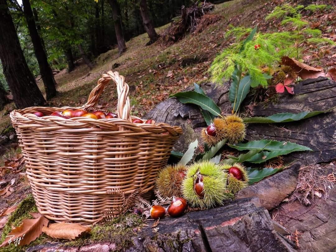 Agriturismo Prato Del Re Prignano sulla Secchia Εξωτερικό φωτογραφία
