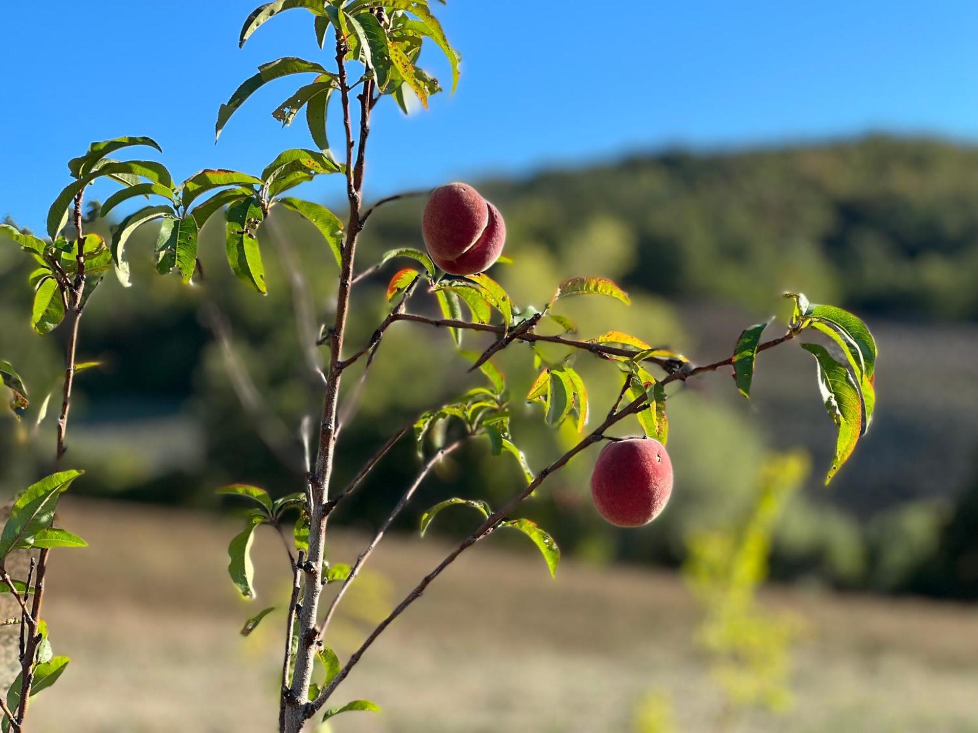 Agriturismo Prato Del Re Prignano sulla Secchia Εξωτερικό φωτογραφία